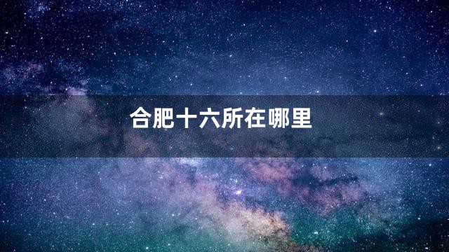 合肥十六所在哪里