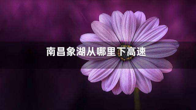 南昌象湖从哪里下高速