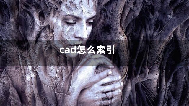 cad怎么索引