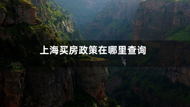 上海买房政策在哪里查询