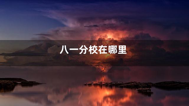 八一分校在哪里