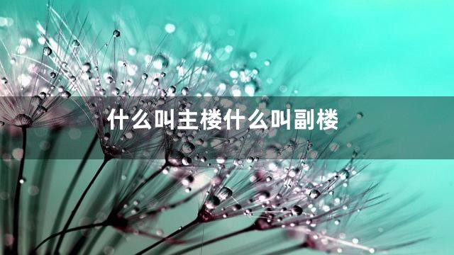 什么叫主楼什么叫副楼