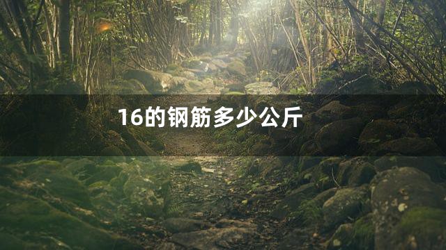 16的钢筋多少公斤