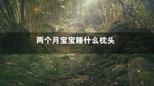 两个月宝宝睡什么枕头