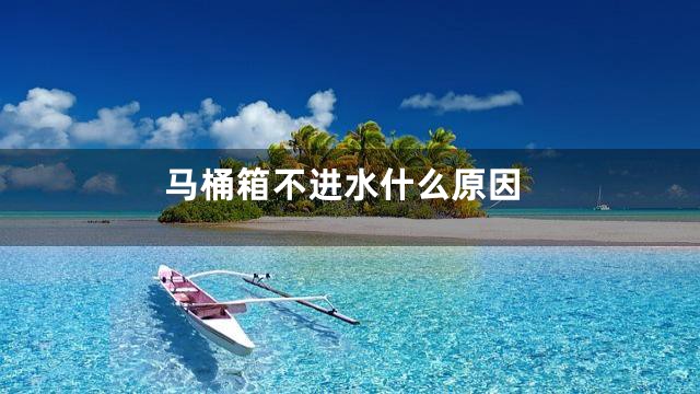 马桶箱不进水什么原因