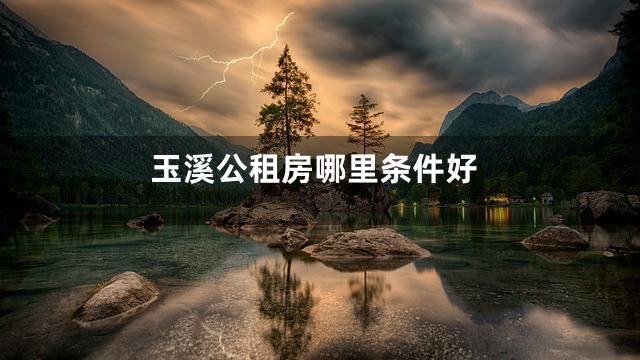 玉溪公租房哪里条件好