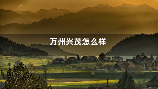 万州兴茂怎么样