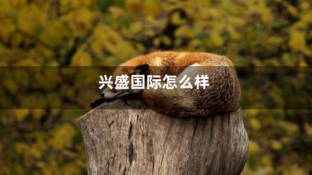 兴盛国际怎么样