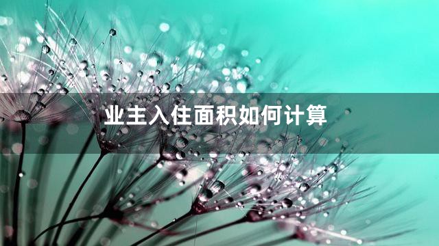 业主入住面积如何计算