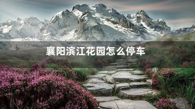 襄阳滨江花园怎么停车