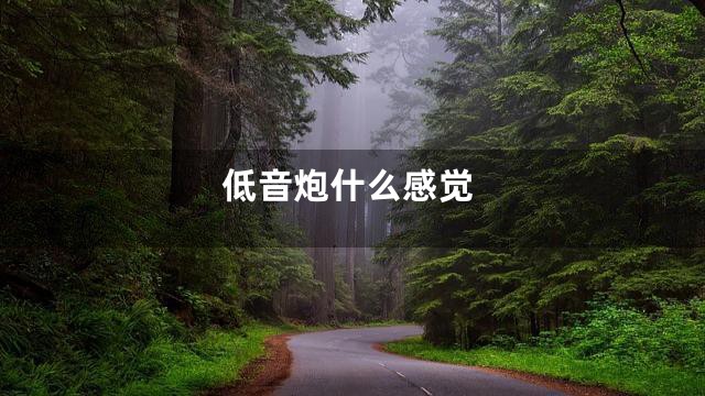 低音炮什么感觉