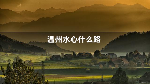 温州水心什么路