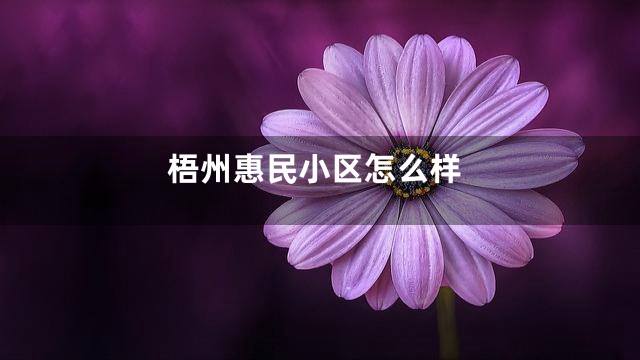 梧州惠民小区怎么样