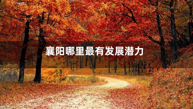 襄阳哪里最有发展潜力