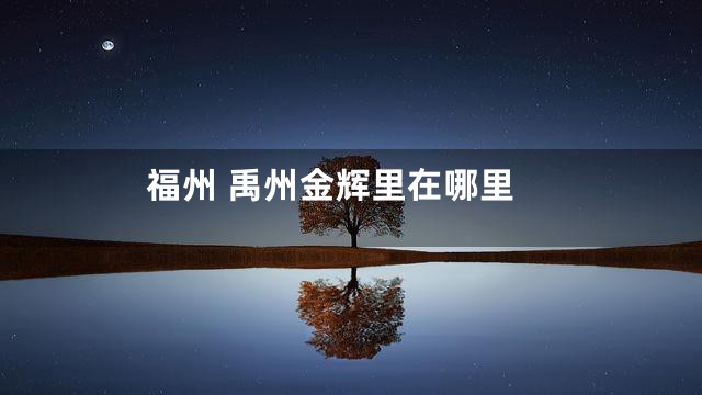 福州 禹州金辉里在哪里