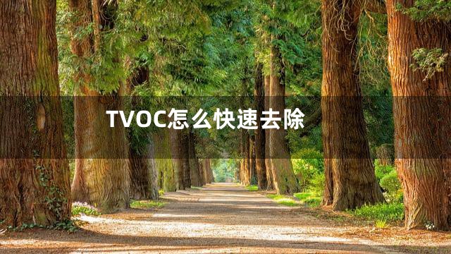 TVOC怎么快速去除