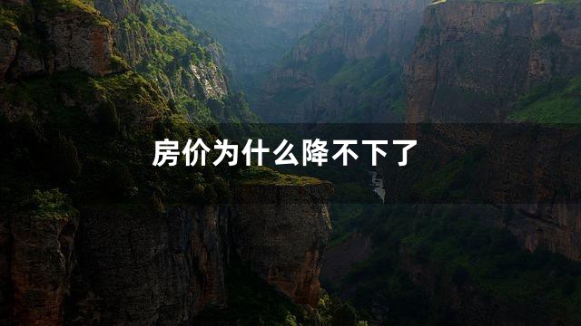 房价为什么降不下了