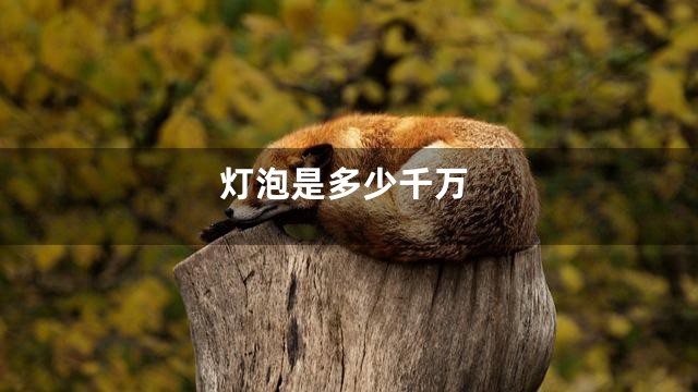 灯泡是多少千万