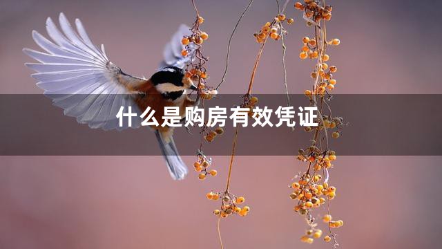 什么是购房有效凭证