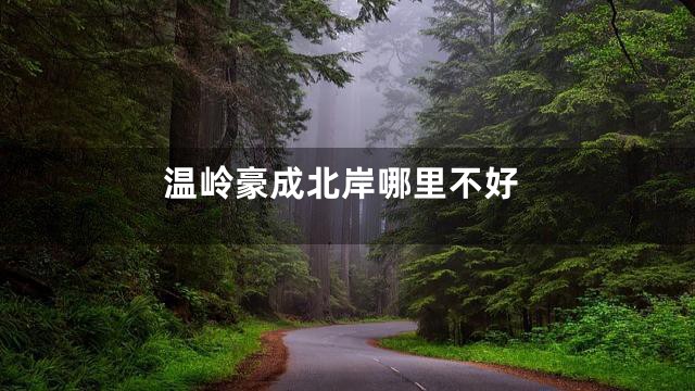 温岭豪成北岸哪里不好