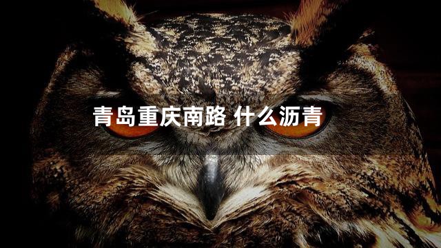 青岛重庆南路 什么沥青