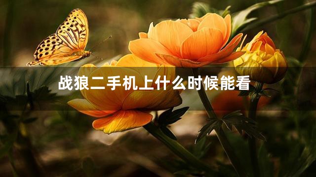 战狼二手机上什么时候能看