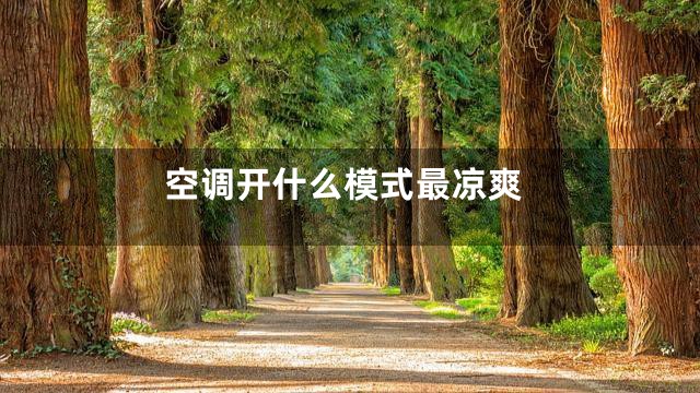 空调开什么模式最凉爽