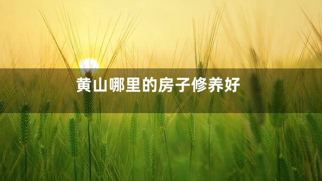黄山哪里的房子修养好