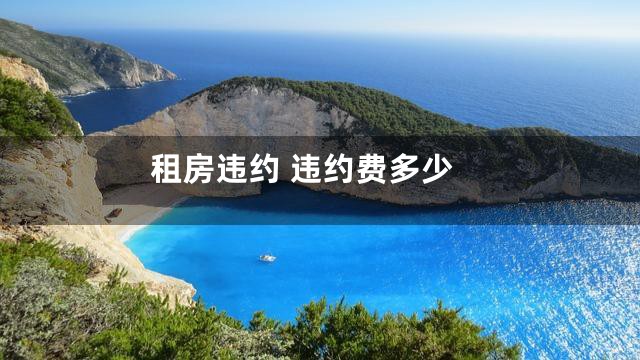 租房违约 违约费多少