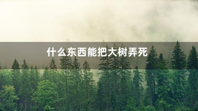 什么东西能把大树弄死