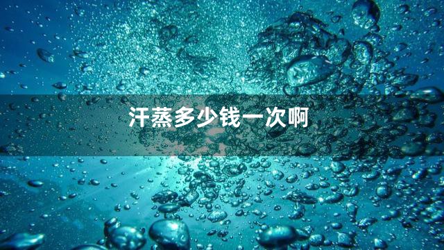 汗蒸多少钱一次啊