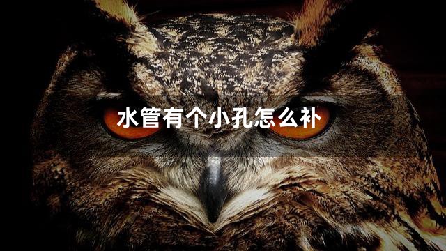 水管有个小孔怎么补