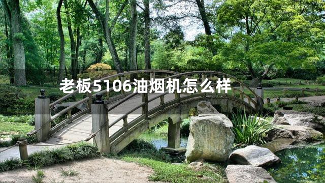 老板5106油烟机怎么样