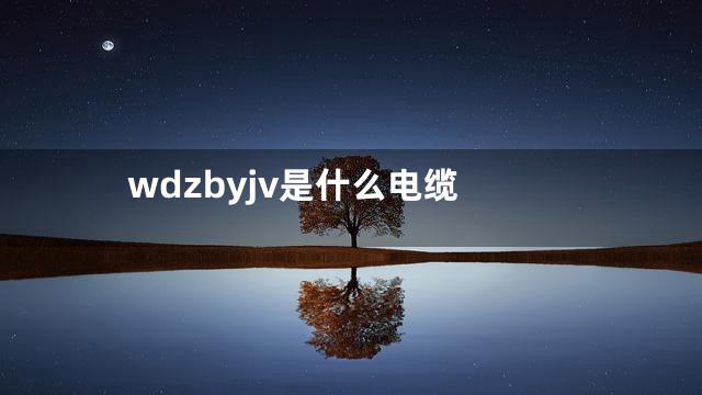 wdzbyjv是什么电缆