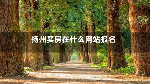 扬州买房在什么网站报名