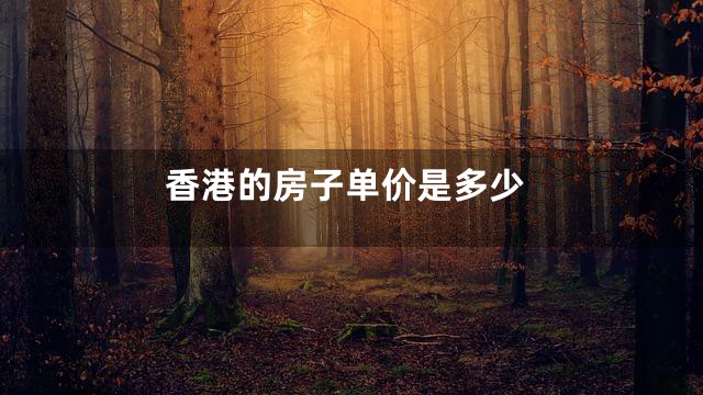 香港的房子单价是多少