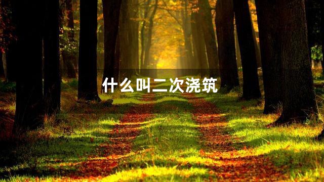 什么叫二次浇筑