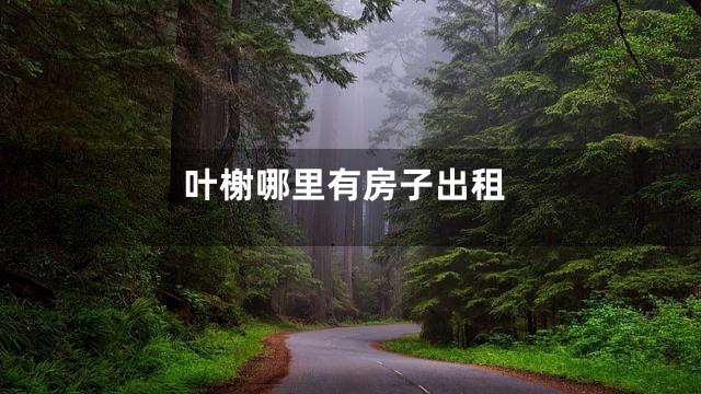 叶榭哪里有房子出租