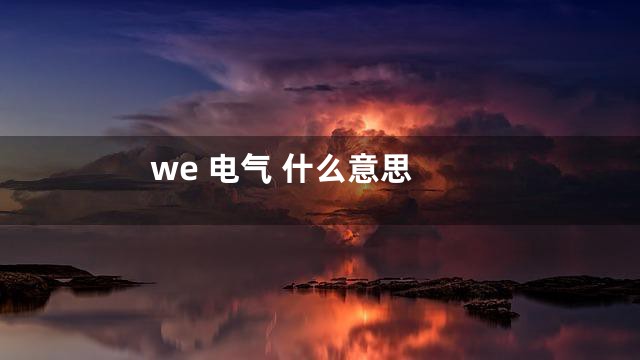 we 电气 什么意思