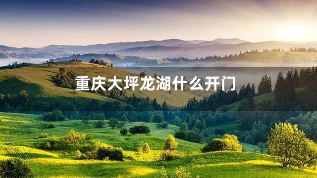 重庆大坪龙湖什么开门