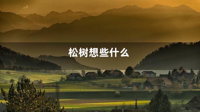 松树想些什么