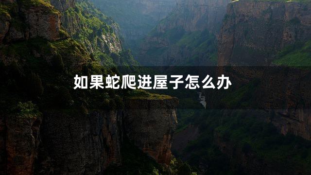 如果蛇爬进屋子怎么办