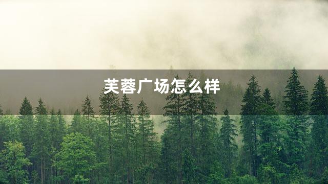 芙蓉广场怎么样