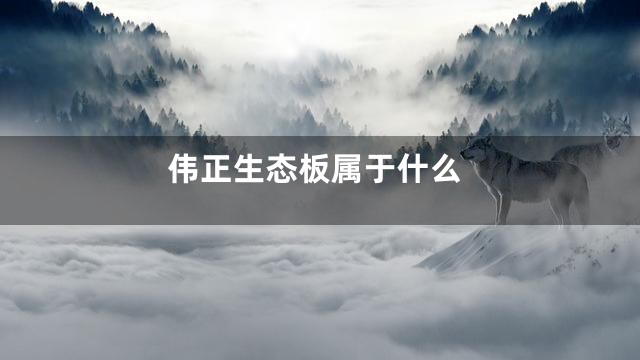 伟正生态板属于什么
