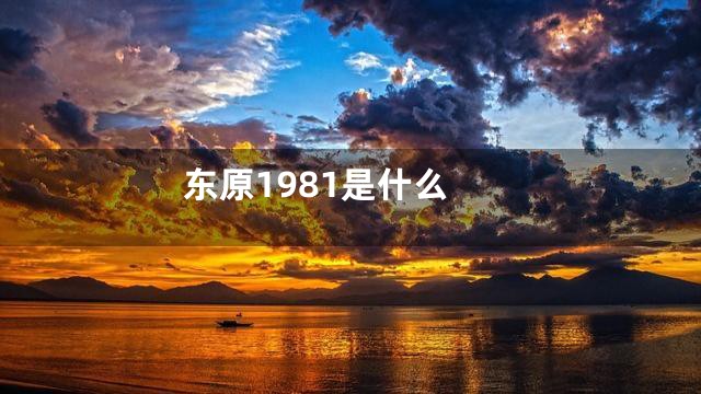 东原1981是什么