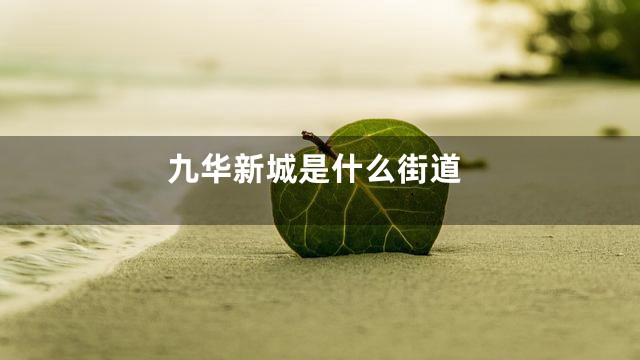 九华新城是什么街道
