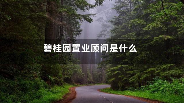 碧桂园置业顾问是什么