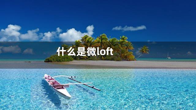 什么是微loft