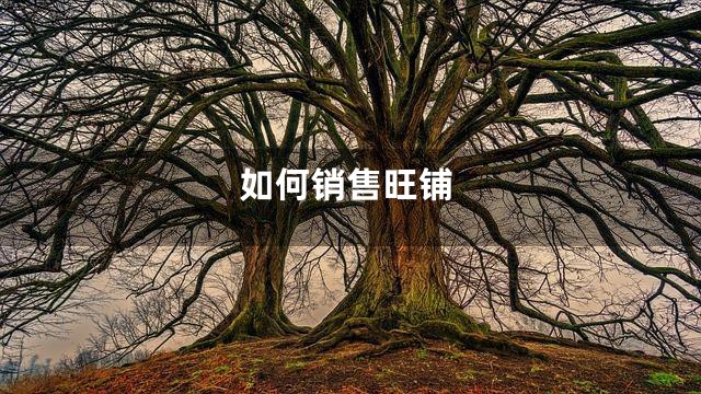 如何销售旺铺