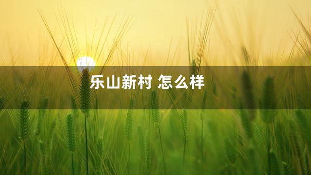 乐山新村 怎么样